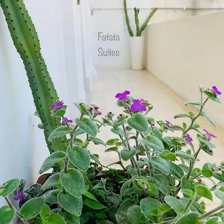 Fatata *